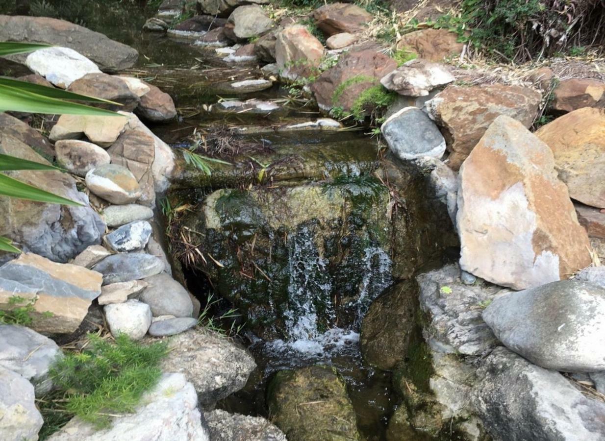 Jardines De Las Golondrinas マルベーリャ エクステリア 写真
